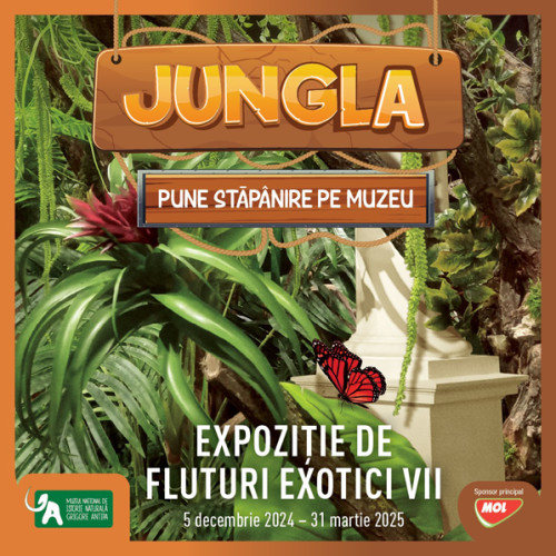 Muzeul Antipa deschide o expoziție impresionantă de fluturi exotici vii