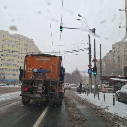 Măsuri de prevenire a poleiului în București