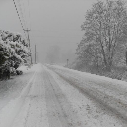 Meteorologii anunță cod galben de ninsori extins până miercuri