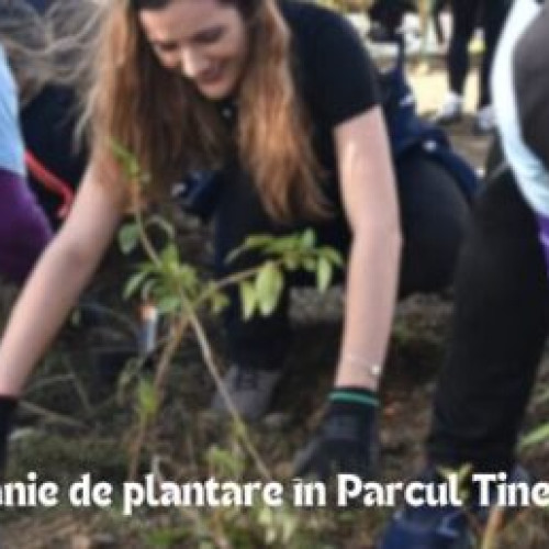 Activitate de plantare în Parcul Tineretului