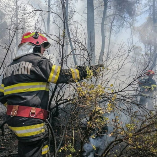 Incendiile de vegetație continuă să afecteze pajiștile din România