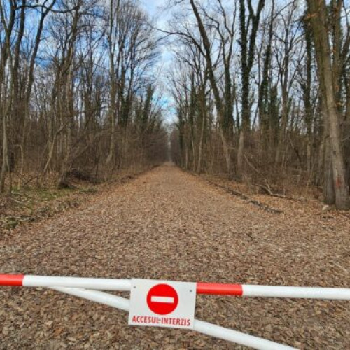 Organizatii civile cer stoparea deschiderii drumurilor forestiere in Padurea Baneasa