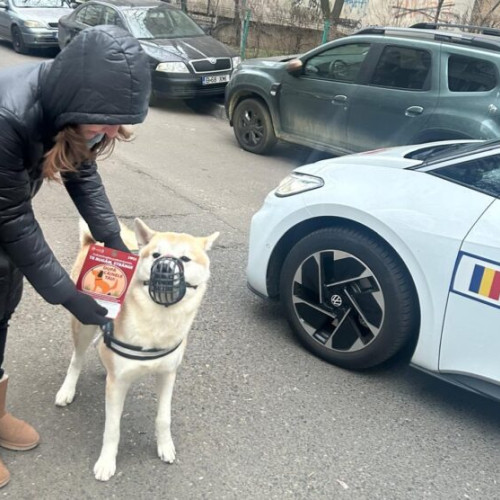 Campanie de informare în Sectorul 3 privind plimbarea animalelor de companie