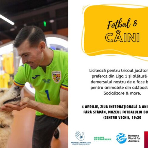 Eveniment caritabil pentru animale la Muzeul Fotbalului București