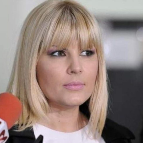 Fostul ministru Elena Udrea își reduce pedeapsa cu opt luni