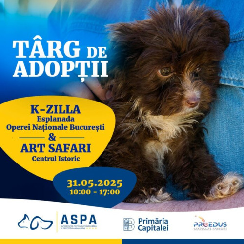 Adopții de animale la KZilla Festival și Art Safari