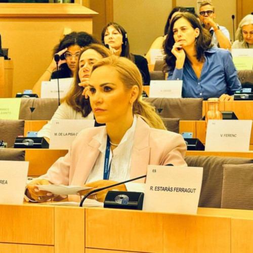 Gabriela Firea solicită soluții pentru victimele violenței domestice
