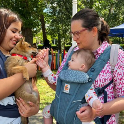ASPA pregătește spații dedicate copiilor pentru adopția cățeilor