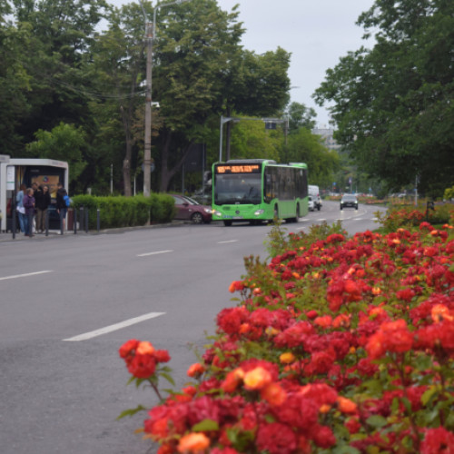 Restricții de trafic pe Strada Drumul Taberei pentru evenimentele din luna mai