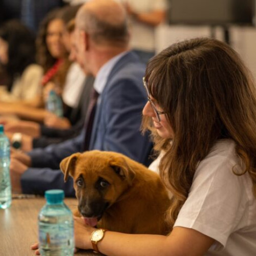 Elevii vor învăța despre respectul față de animale în cadrul unei noi materii opționale
