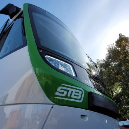 Copac căzut pe tramvai în Piata George Coșbuc din Sectorul 5