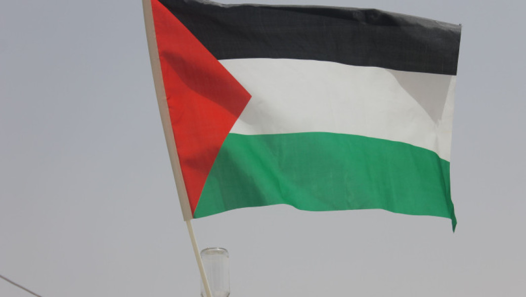 Încă o țară din Europa vrea să recunoască Palestina la ONU: „Este o decizie atent gândită"
