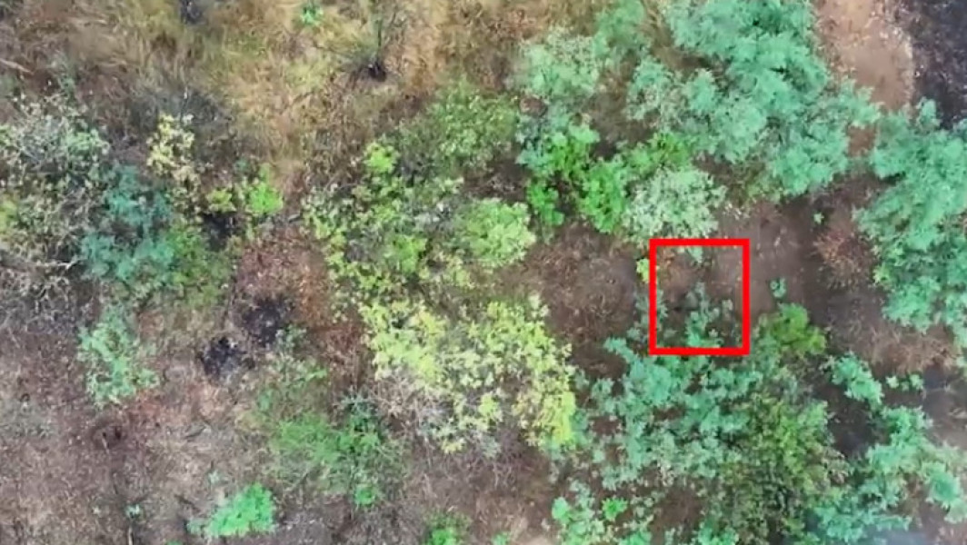 Video O brigadă militară ucraineană a publicat un videoclip șocant, în care apar femei ruse luptând în unități de asalt din prima linie
