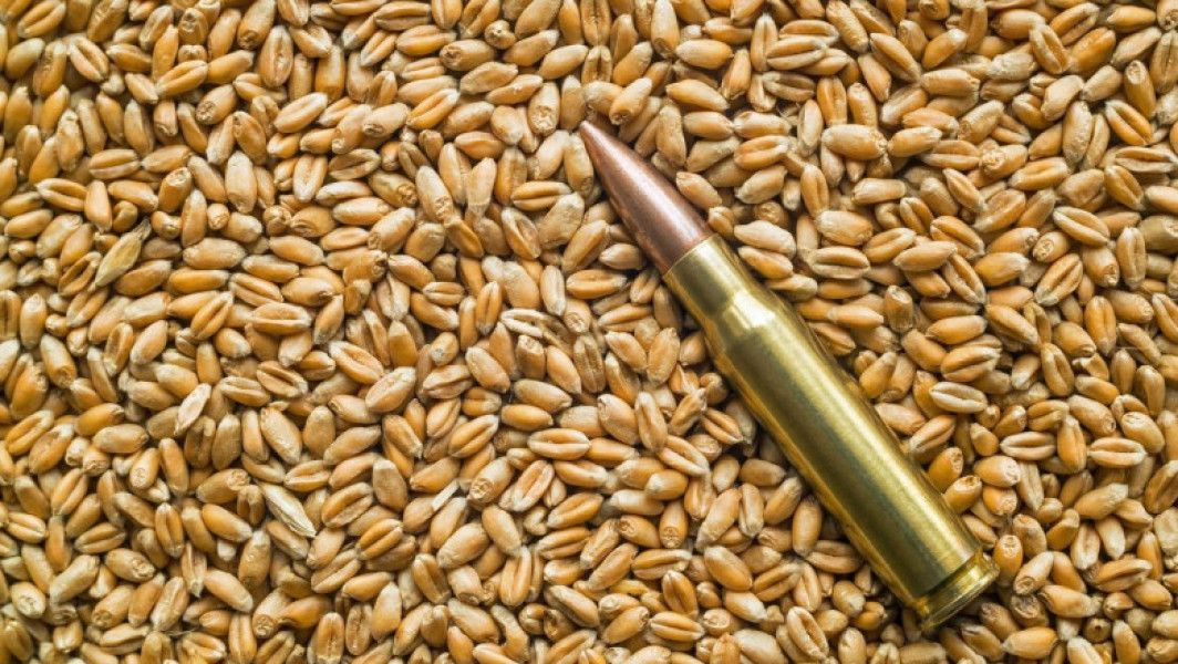 Rusia își crește exporturile de grâu pe baza cerealelor din teritoriile ocupate în Ucraina