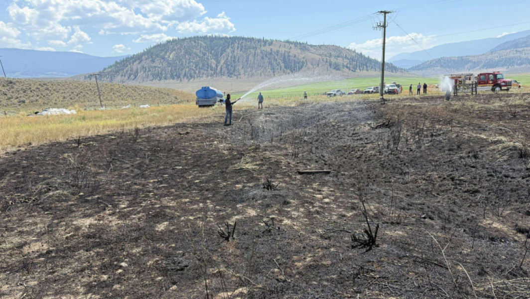 Foto Un peşte scăpat de o pasăre de pradă pe o linie de înaltă tensiune a provocat un incendiu în Canada. „A vrut să încerce peşte gătit”