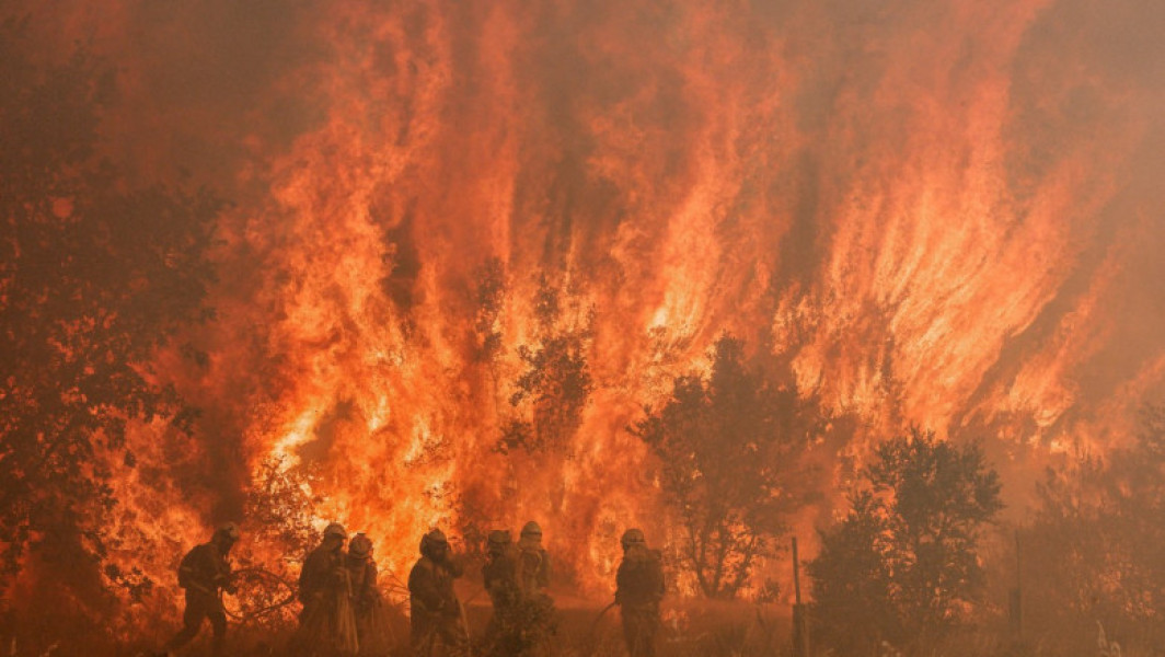 Video Român mort în incendiul de vegetație din apropierea Madridului. Ferma de cai la care lucra a fost mistuită de flăcări