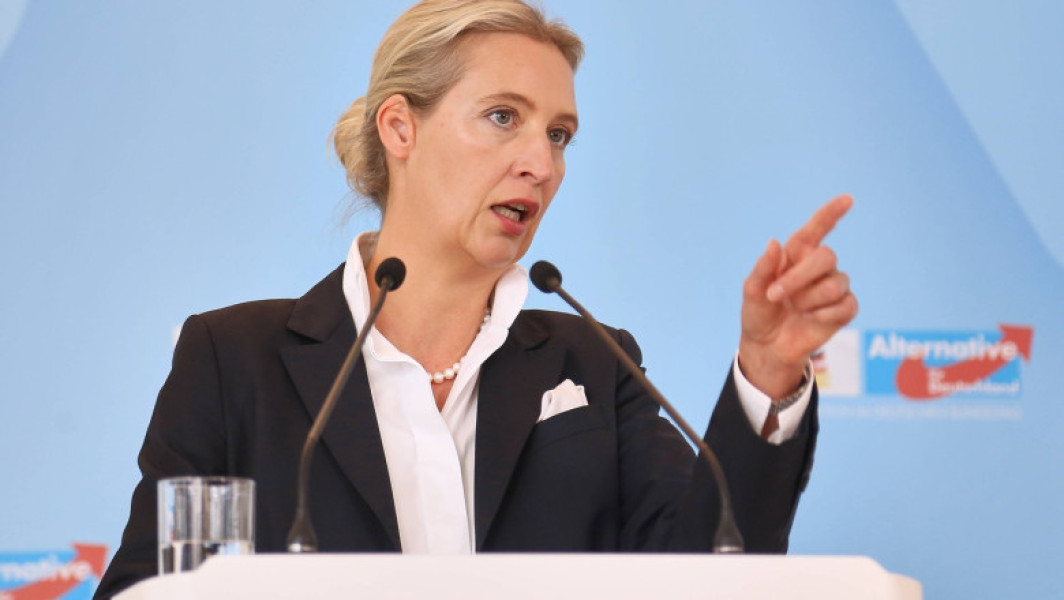 Extrema dreaptă urcă pe primul loc în preferințele germanilor. AfD, înaintea cancelarului Merz (sondaj)