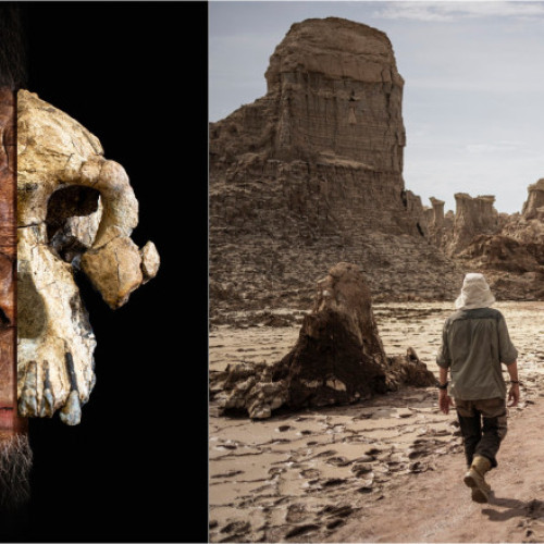 Cercetătorii au descoperit o nouă specie de hominizi care ar putea schimba povestea evoluției omului