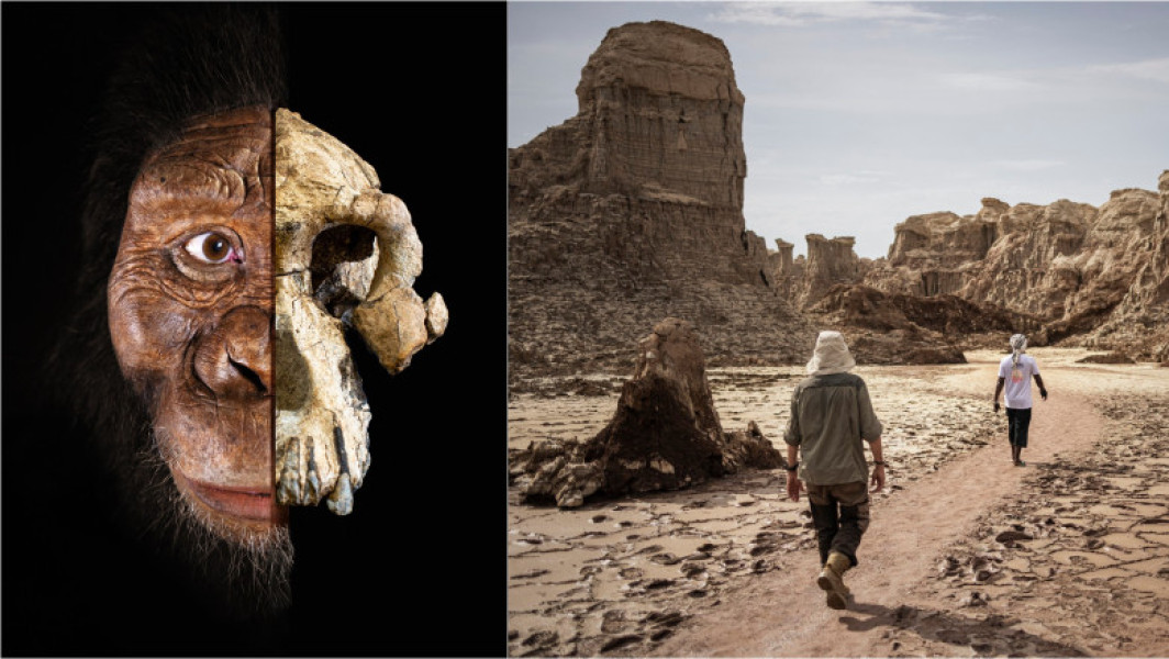 Cercetătorii au descoperit o nouă specie de hominizi care ar putea schimba povestea evoluției omului