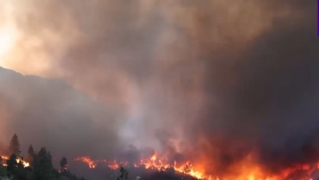 renunțarea la peste 45.000 de hectare de păduri și terenuri agricole în Grecia din cauza incendiilor