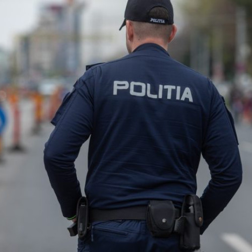 Bărbat arestat după ce și-a lovit concubina cu o macetă