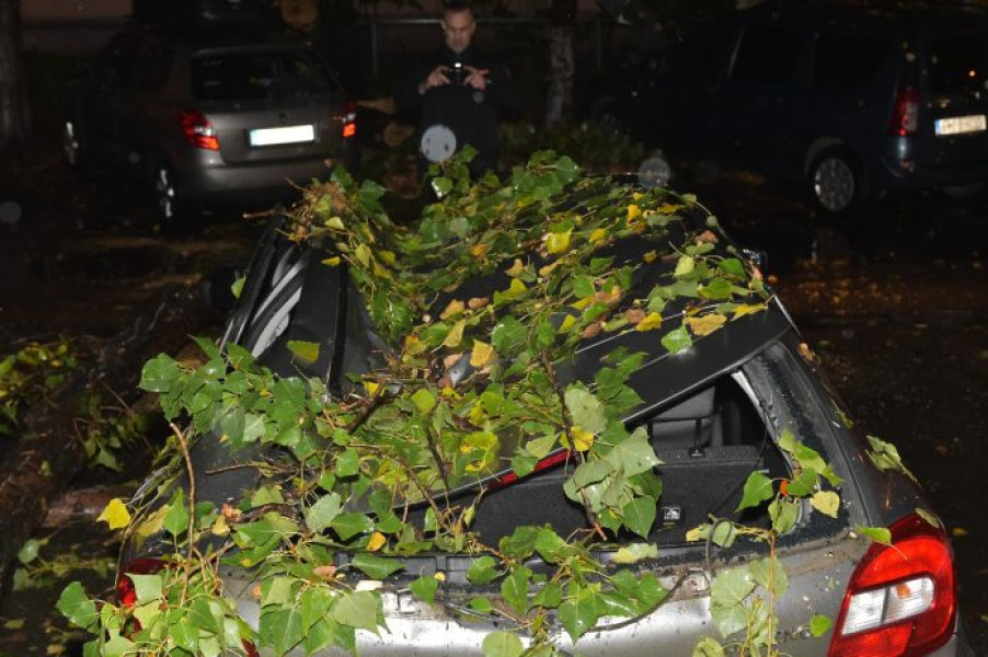 Sectorul 2 acordă despăgubiri pentru daune provocate de fenomene naturale
