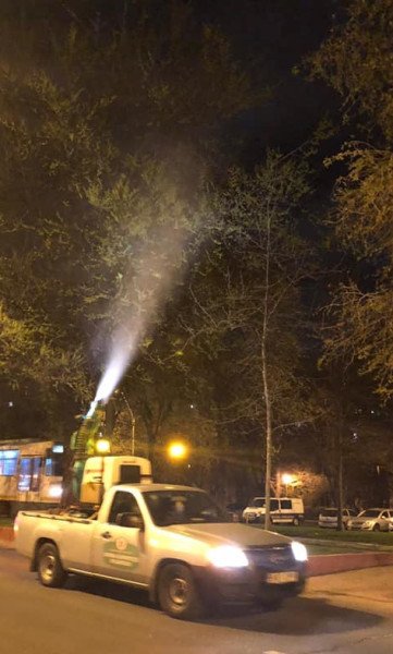 Centrul de Protecţie a Plantelor anunță tratamente fitosanitare în București