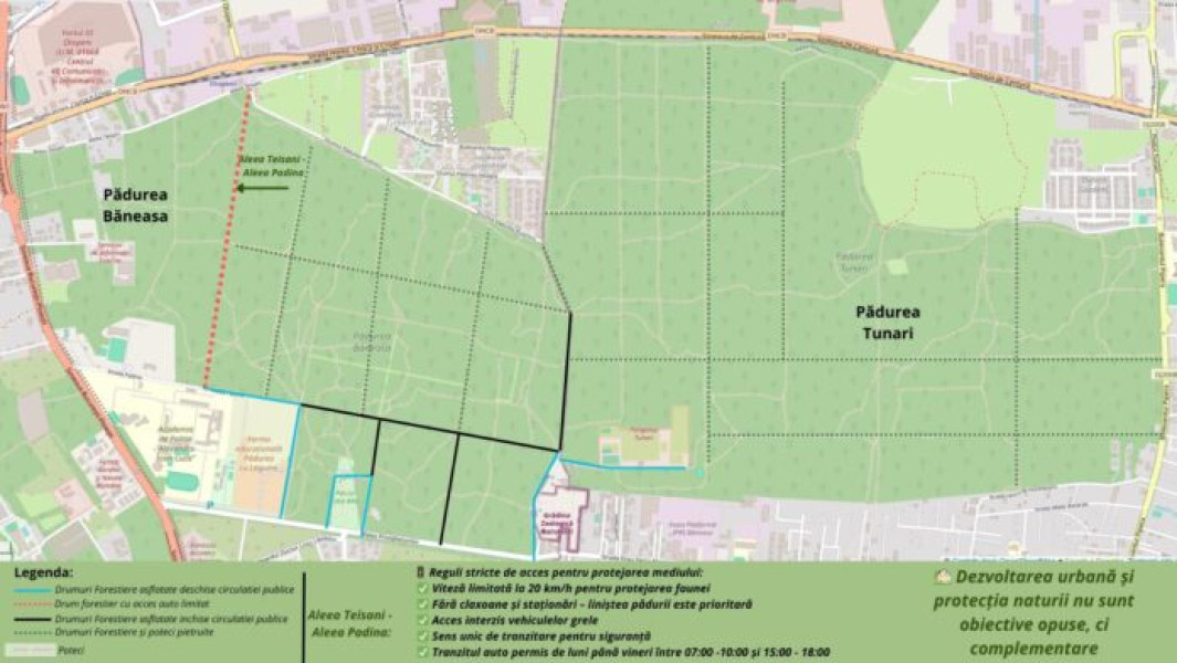 Federația Greenfield Băneasa reglementează accesul în pădure pentru siguranță
