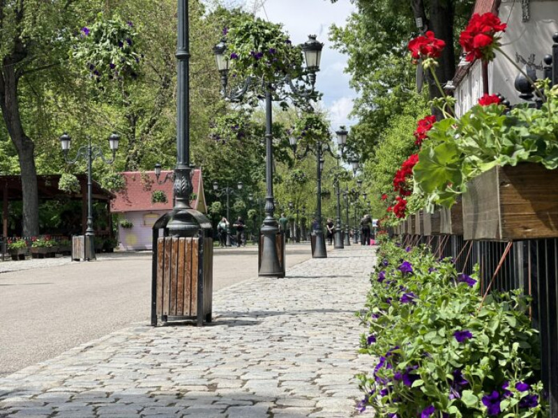 Primăria Municipiului București propune amenzi mai dure pentru spațiile verzi